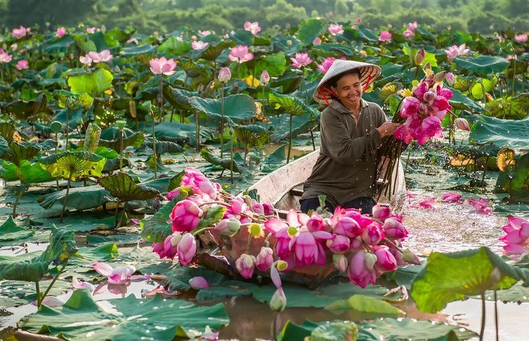 img_2226.jpg (175 KB)